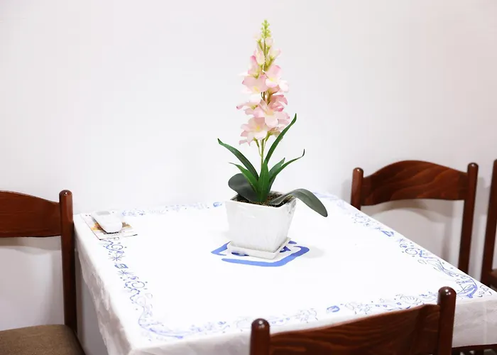 Auberge de jeunesse Univers